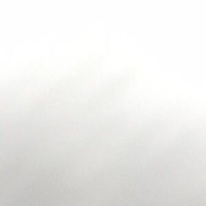 Meet your Posher, Maia